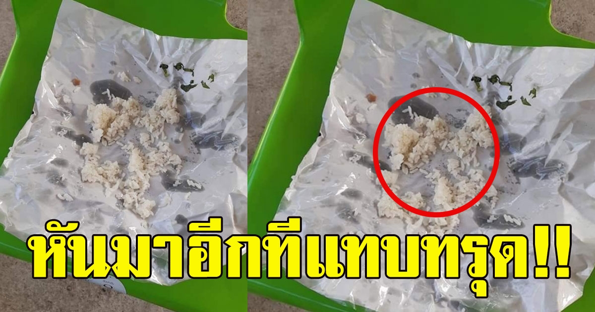 สาวแกะห่อ ข้าวมันไก่