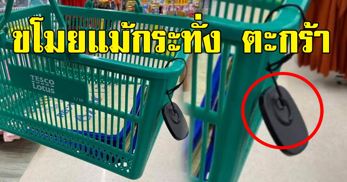 ห้างดังสุดทน ติดสัญญาณกันขโมยตะกร้า หลังงดแจกถุง คนเอาตะกร้ากลับบ้านเพียบ