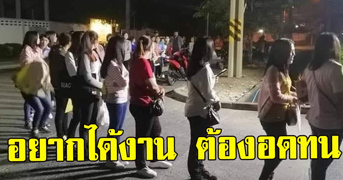 ไม่ทำก็ไม่มีกิน หนุ่มสาวอดหลับอดนอน ยืนต่อแถมตี 3 รอสมัครงาน