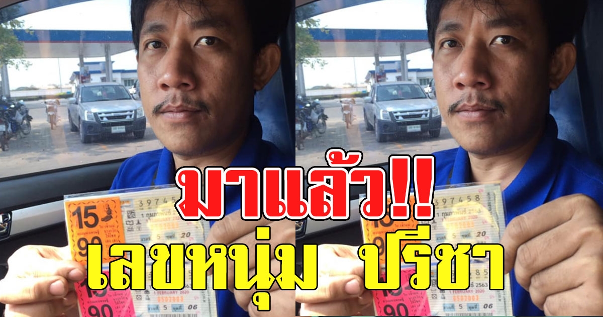 มาแล้ว เลขหนุ่ม ปรีชา