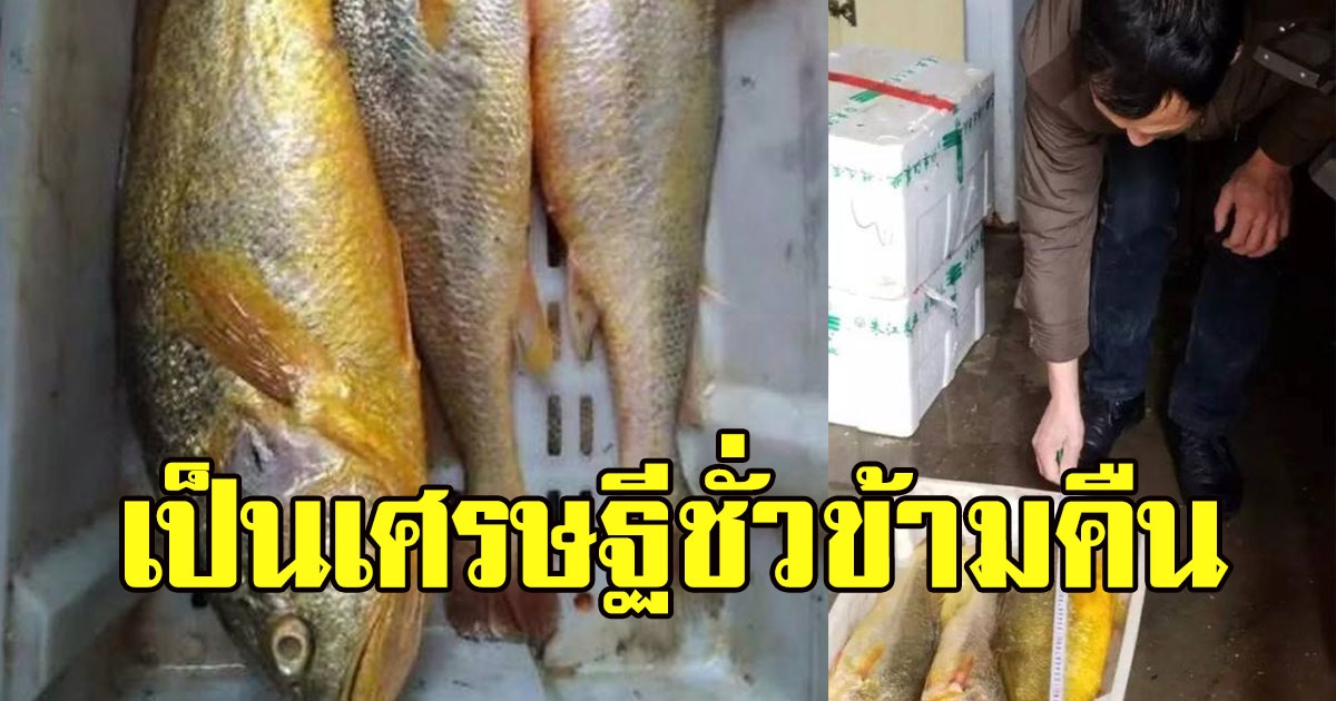 ชาวประมง ออกเรือหาปลากลางทะเล