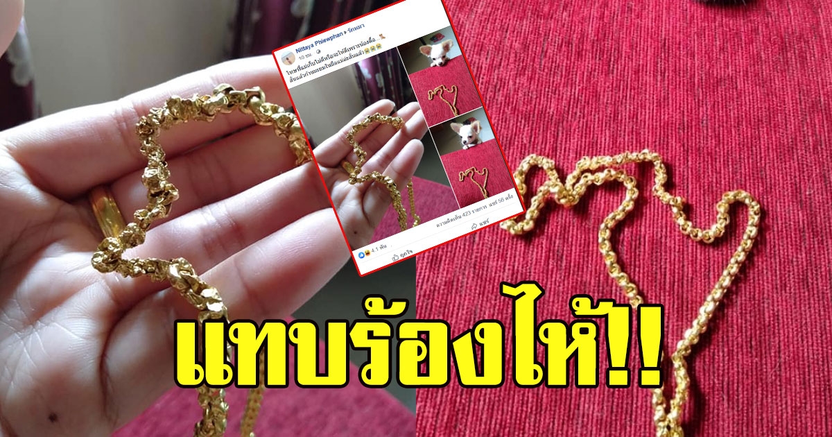 สาวเดือด ถอดสร้อยทองเก็บไว้