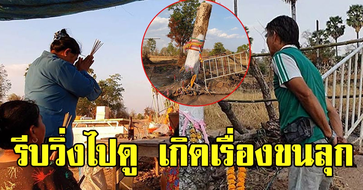 ชาวบ้านเจอต้นไม้ใหญ่ล้มกลางทุ่งนา รีบวิ่งไปดู เจอเลขโผล่