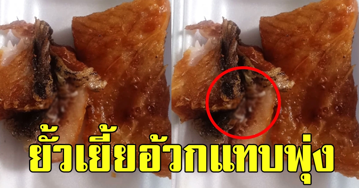 หนุ่มไปเที่ยวงานวัด ซื้อปลาทอดมากิน