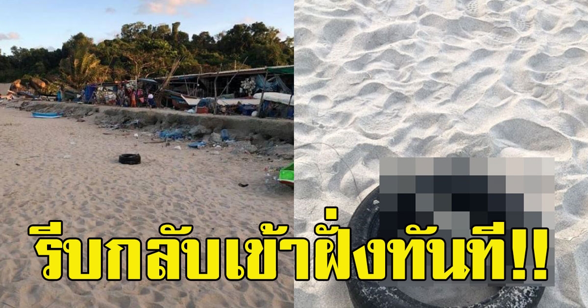 ชาวประมงออกเรือหาปลา ดึงอวน