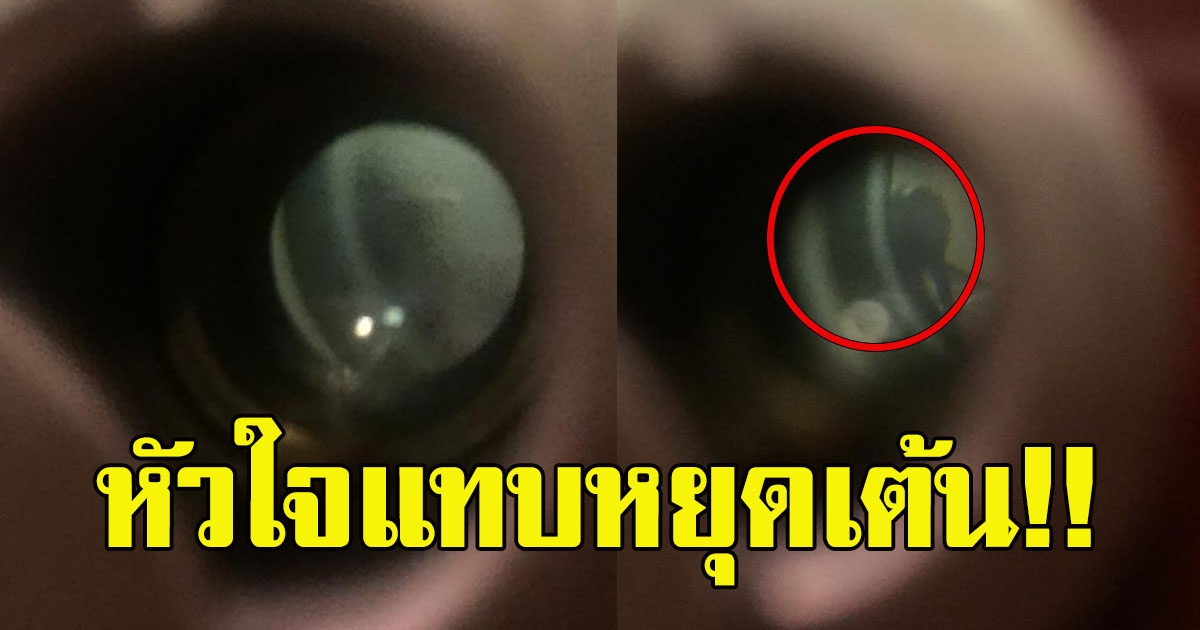 สาวได้ยินเสียงคนกดกริ่ง กลางดึก