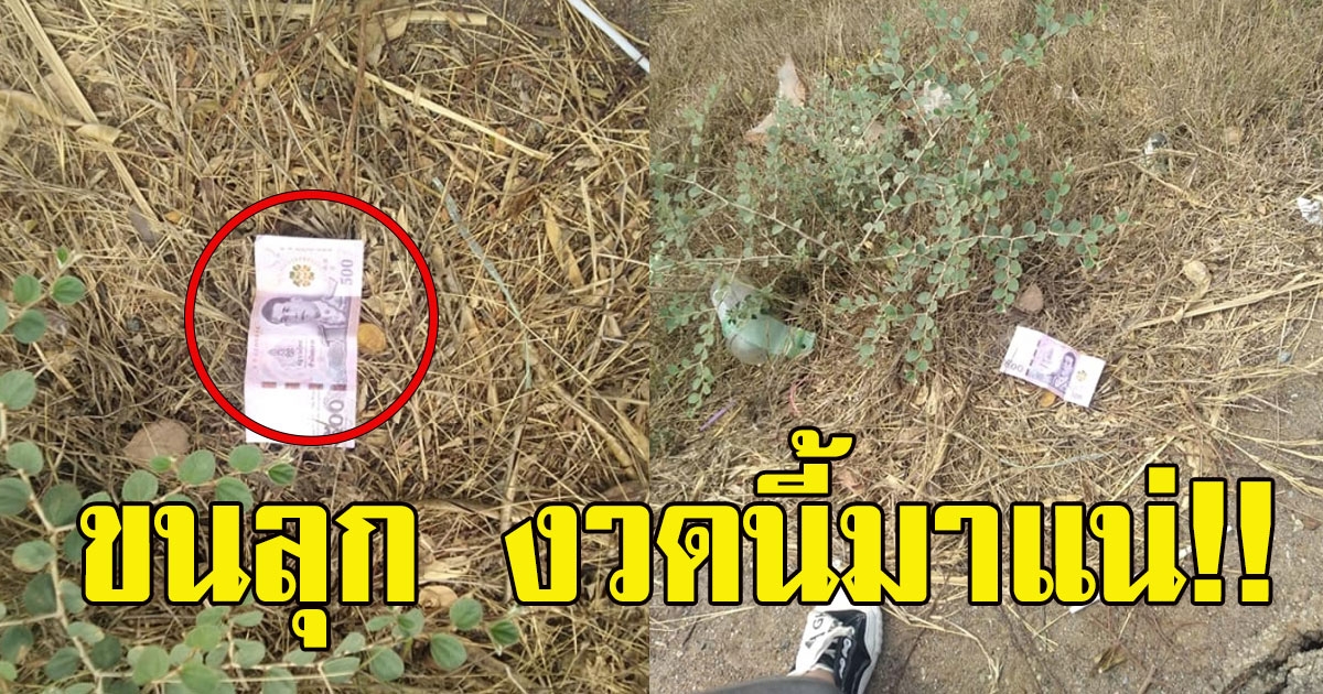 สาวทำเงินหาย นึกถึงปู่ศรีสุทโธ เช้ามาเจอเงินที่หล่น โซเชียลแห่ซื้อเลขตาม