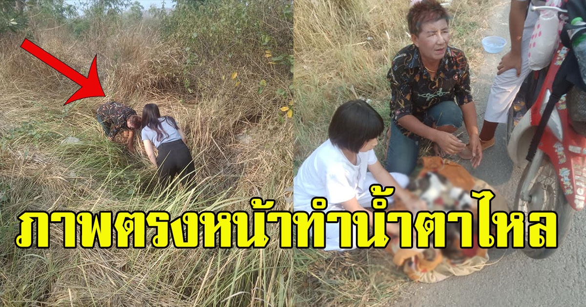 หนุ่มเห็น ป้าหลาน ในป่าข้างถนน