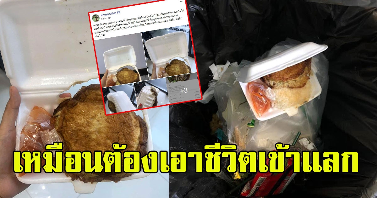 สาวสั่งข้าวไข่เจียวหมูสับ หวังมากินแซ่บๆ