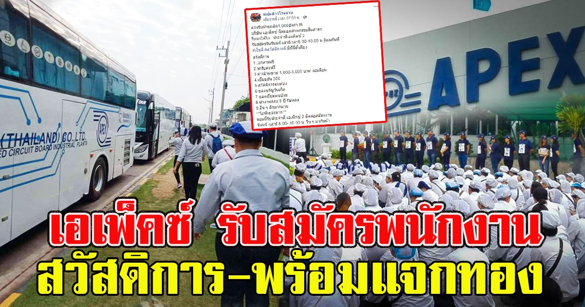 บริษัทเอเพ็คซ์ ประกาศรับสมัครพนักงาน