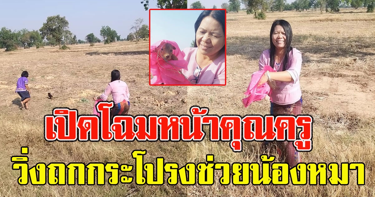 โฉมหน้าคุณครู วิ่งถกกระโปรงวิ่งไปกลางทุ่งนา ช่วยสุนัข