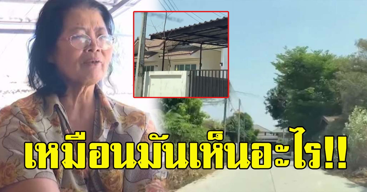 ป้าเเม่ค้าในซอย อยู่ไม่ไหว