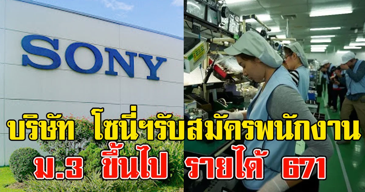 บริษัท โซนี่ เทคโนโลยี เปิดรับสมัครพนักงาน สวัสดิการเพียบ