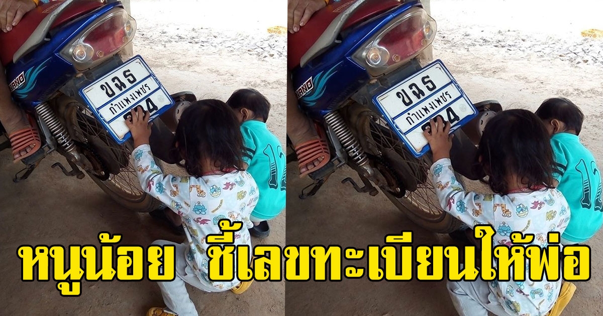 หนูน้อย ชี้เลขทะเบียนให้พ่อ