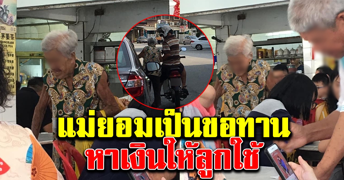 หญิงชราเดินขอเงินในร้านอาหาร ก่อนคนแอบเห็นนำเงินไปให้บุตรชายที่ไม่ยอมทำงาน