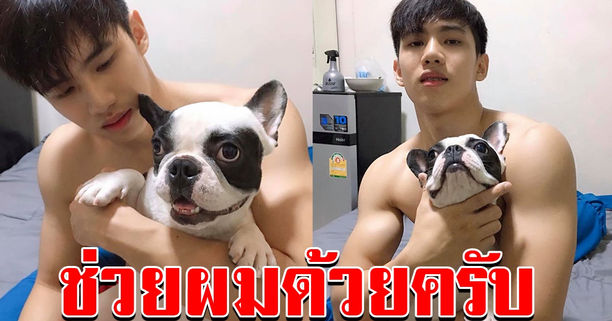 หนุ่มประกาศตามหาสุนัขหาย