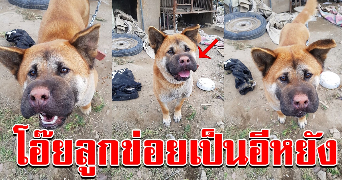 สาวโพสต์ไม่อยู่บ้านแปบเดียว